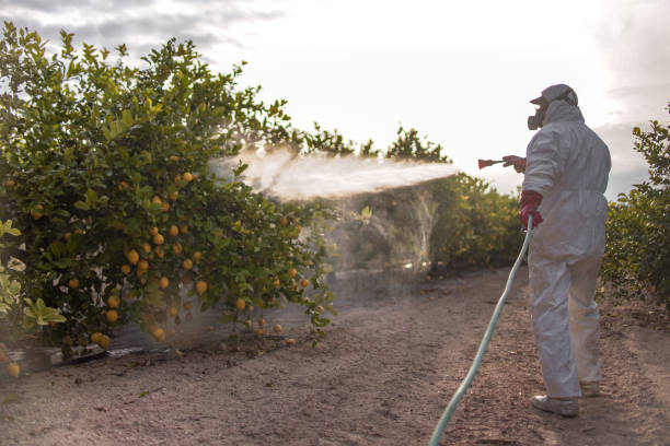 Best Pest Inspection Near Me  in Huntsville, MO