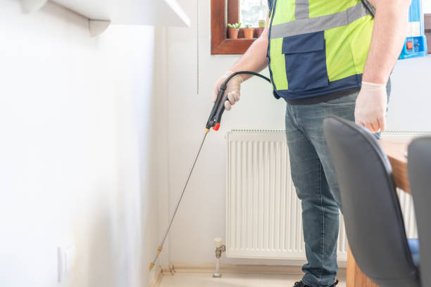Best Ant Control Services  in Huntsville, MO