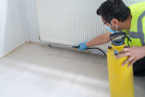 Best Emergency Pest Control  in Huntsville, MO