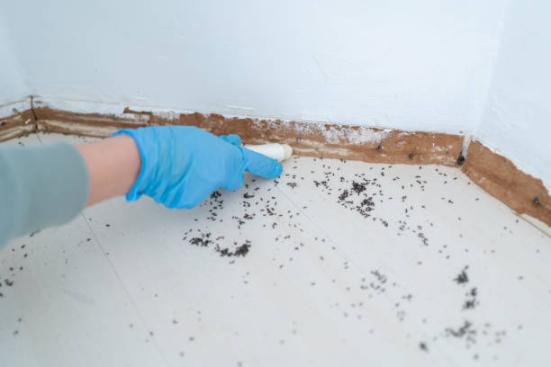 Best Exterminator Services  in Huntsville, MO